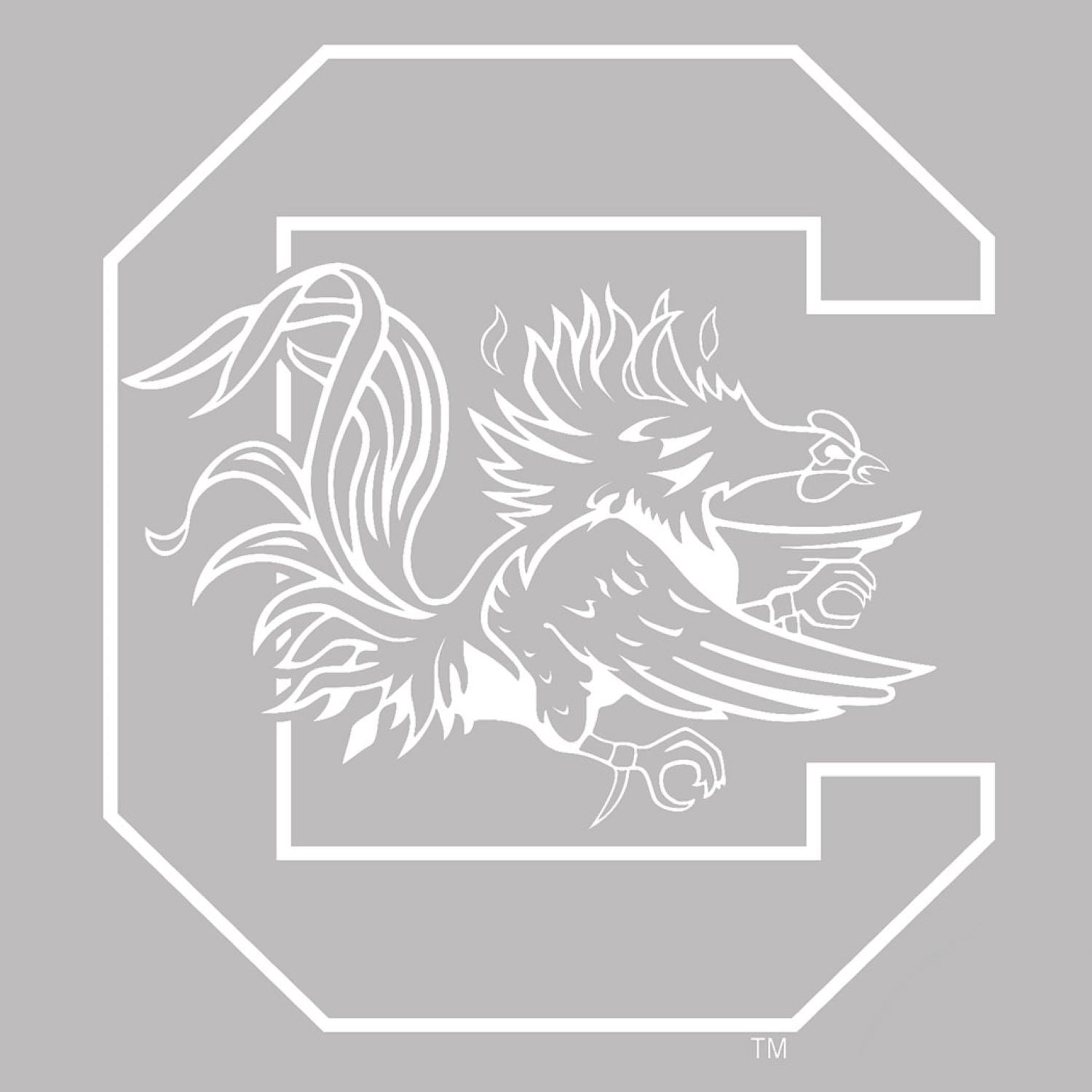 South Carolina White 6&quot; Block C Decal