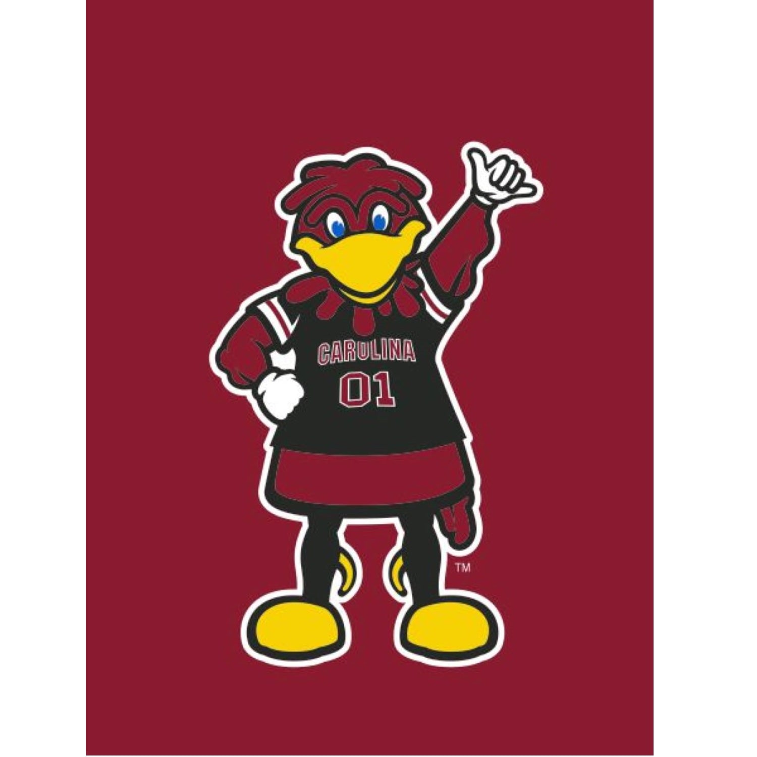 SOUTH CAROLINA 30X40 GARNET COCKY HOUSE FLAG