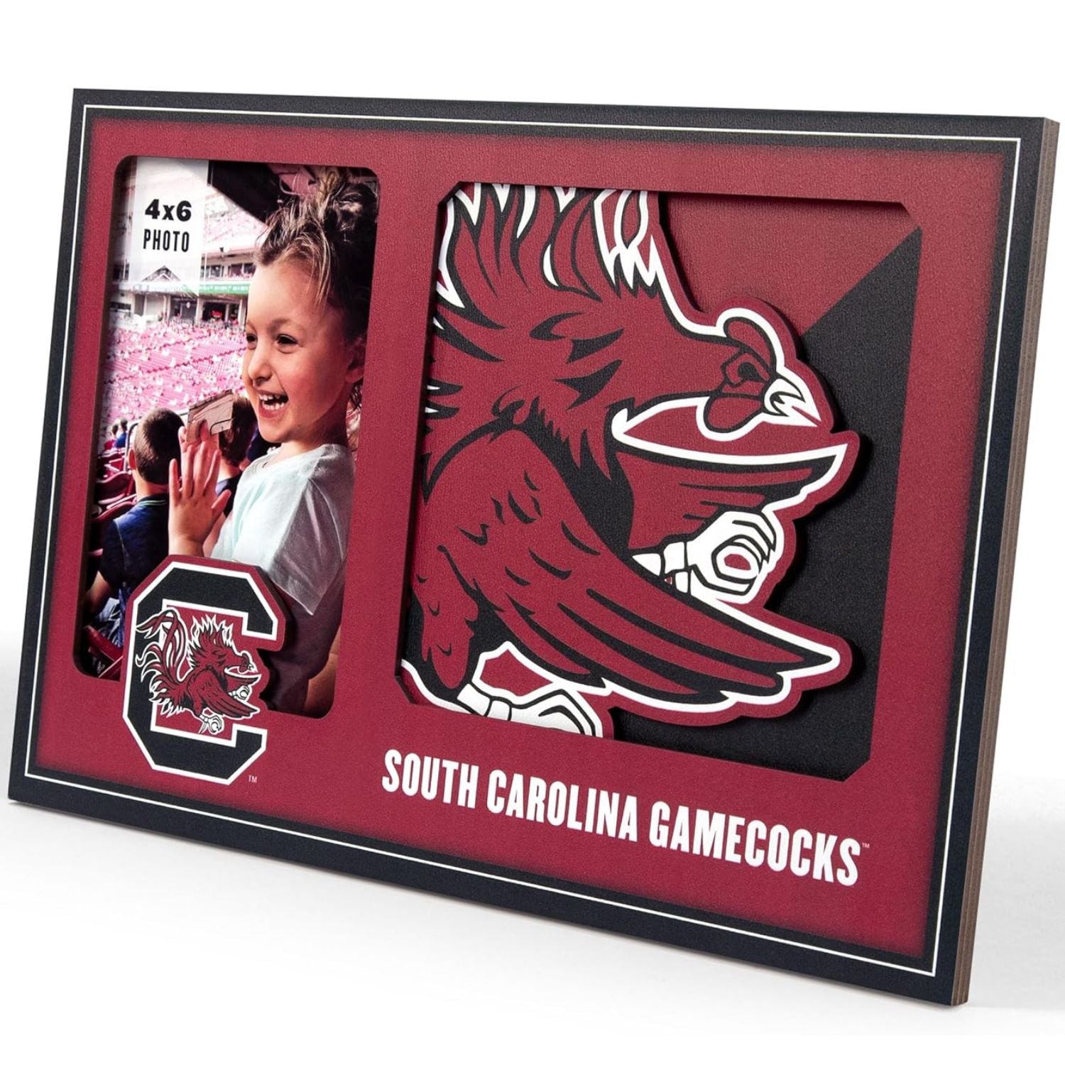 SOUTH CAROLINA GAMECOCKS GARNET/BLACK 3D LOGO PICTURE FRAME