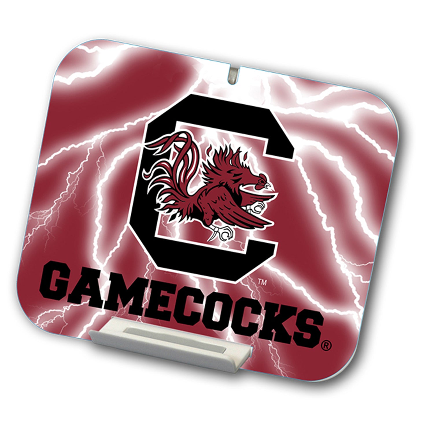 SOUTH CAROLINA BLOCK C MEDIA CHARGER