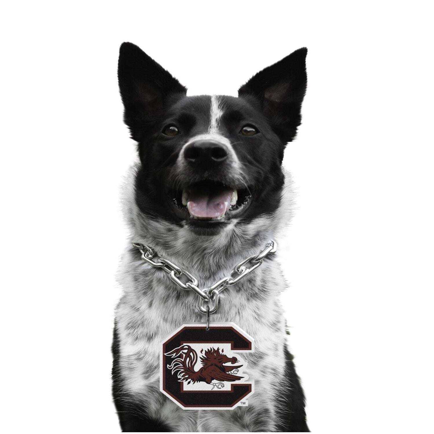 SOUTH CAROLINA GAMECOCKS PET FAN CHAIN