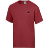 SOUTH CAROLINA STATE WITH PALM COMFORT WASH T-SHIRT